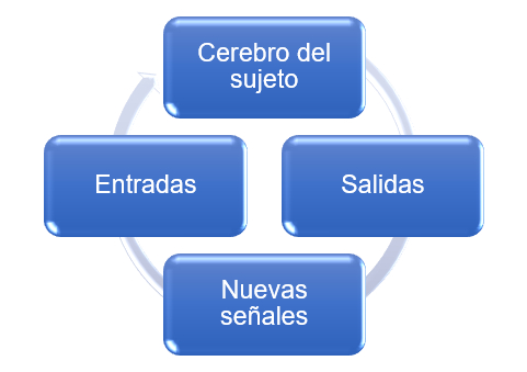 Neurofeedback